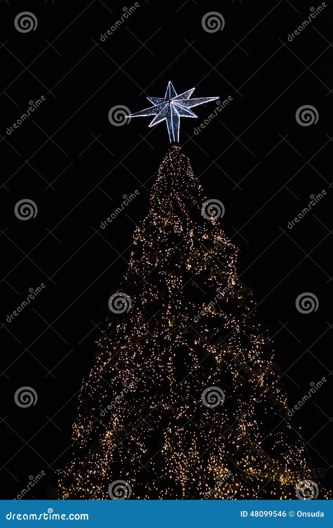 Christmas tree at night stock photo. Image of outdoor 48099546