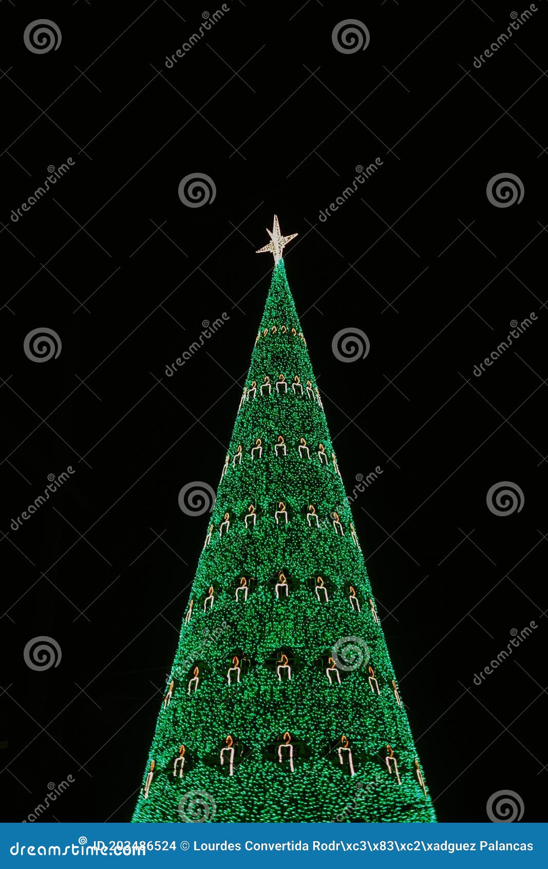Christmas Tree at Night in Lisbon Stock Photo Image of famous, green