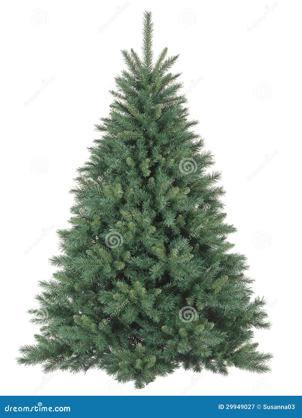 Tree With Bare Roots On Riverbank, Stream Washed Soil, Fluvial Erosion