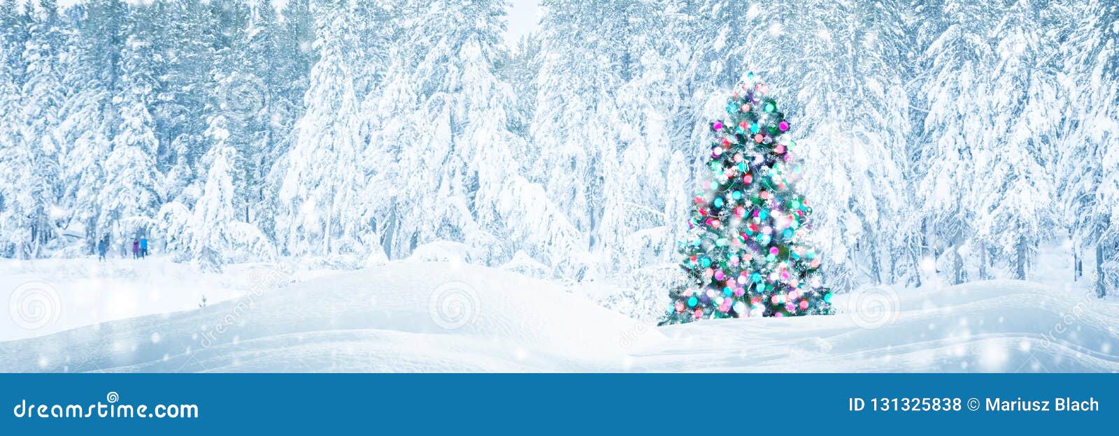 Christmas Tree Outdoors with Falling Snow Stock Photo Image of blue