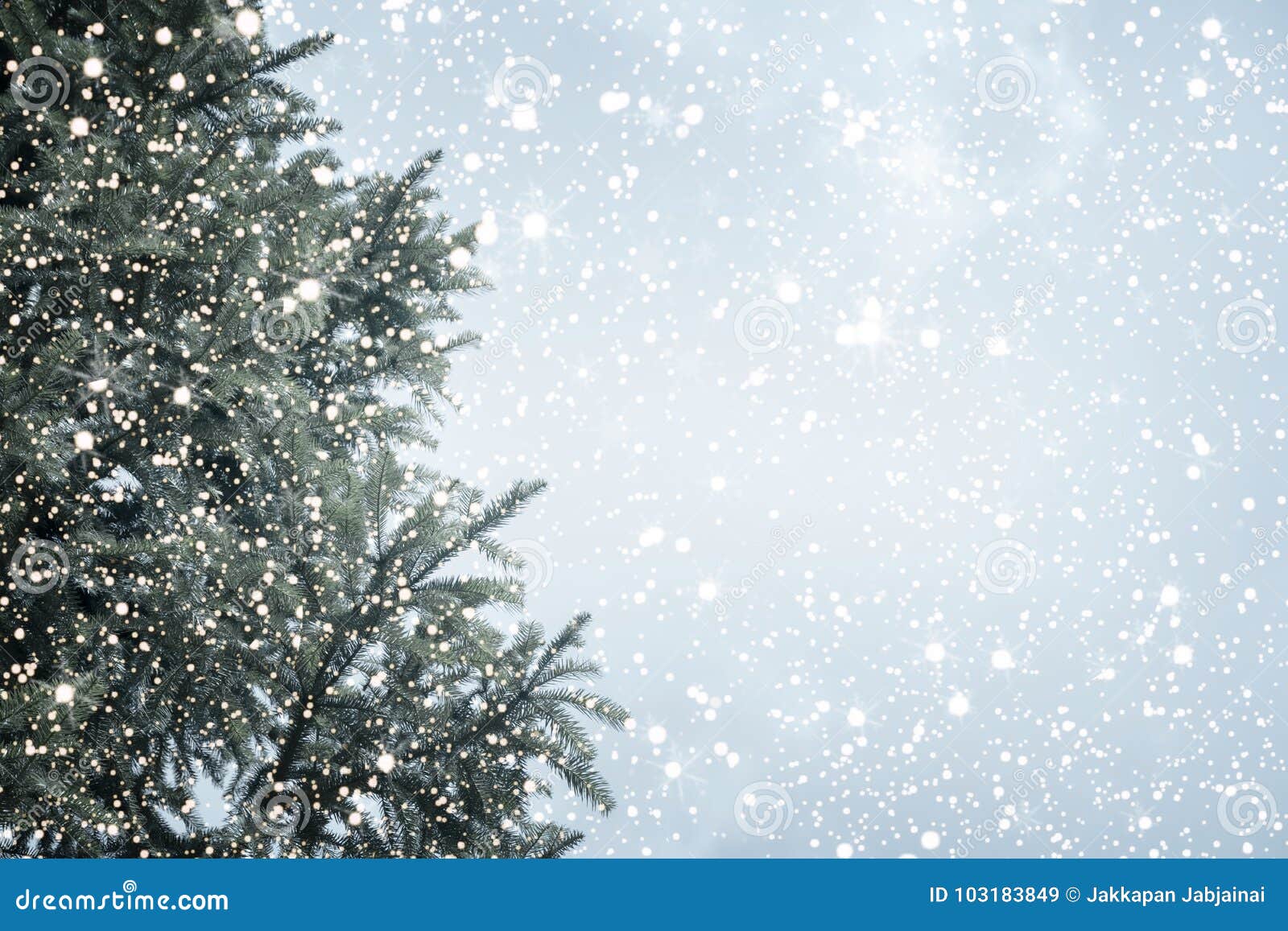 christmas tree pine or fir with snowfall on sky background in winter.