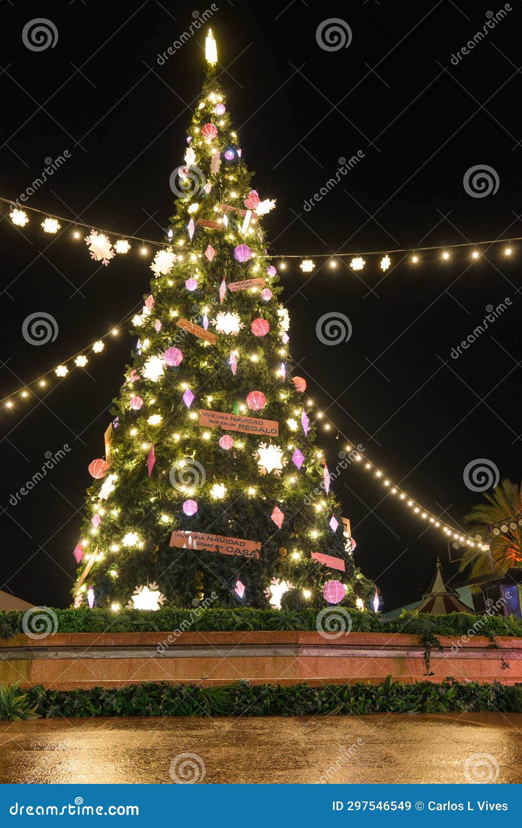 christmas tree at pra a do com rcio in mallorca