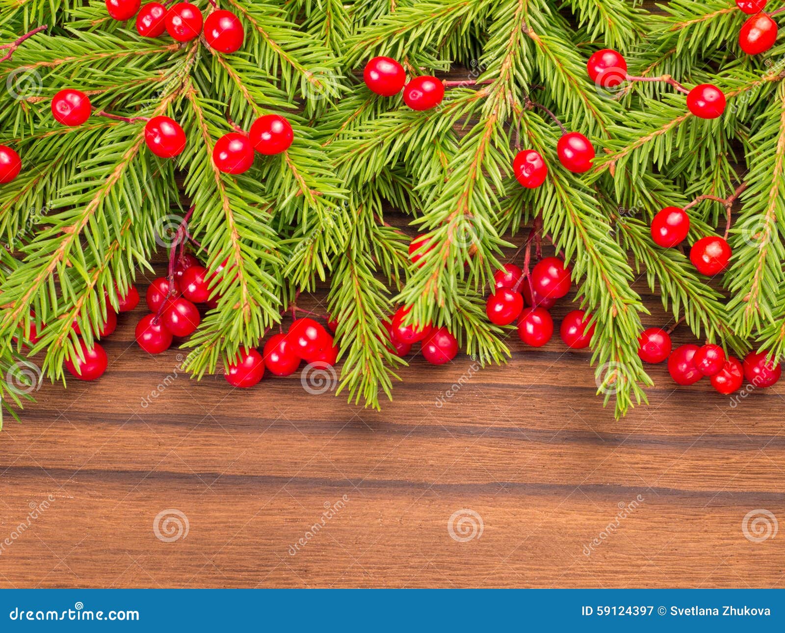 Christmas Tree and Red Berries on the Dark Background Stock Image