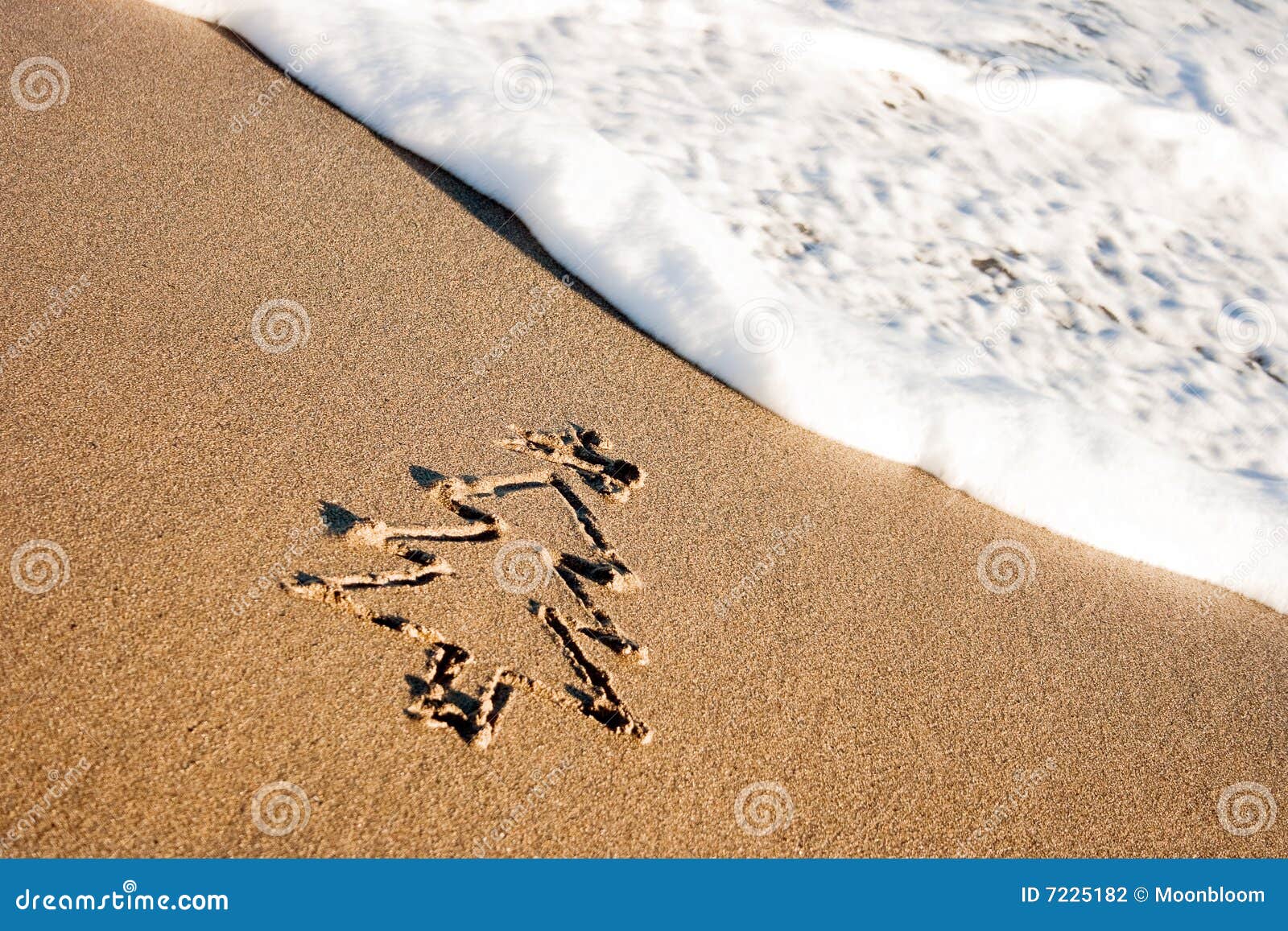 Christmas Tree on the Sand stock photo. Image of vacation 7225182