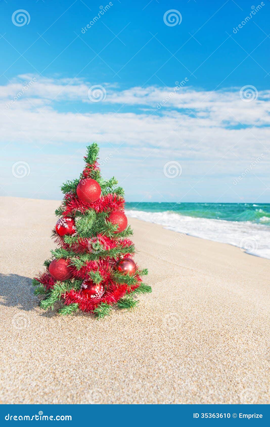 Christmas Tree on the Sea Beach. Christmas Vacation Concept. Stock ...