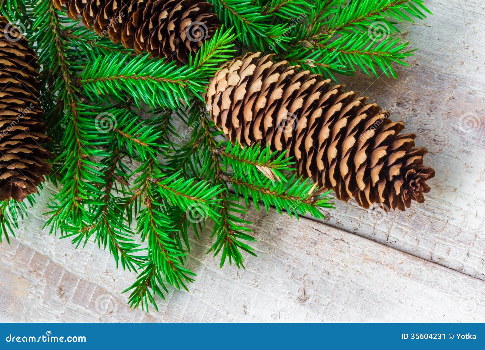 Christmas Tree Spruce Pine Wooden Stock Image Image of backing