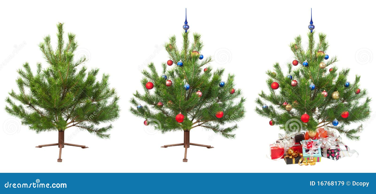 Christmas Tree For The Subsequent Animation Royalty Free 