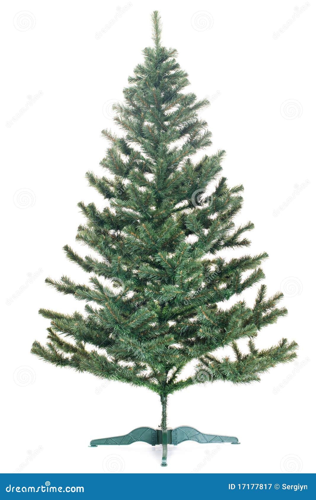 Christmas tree undecorated stock image. Image of tree 