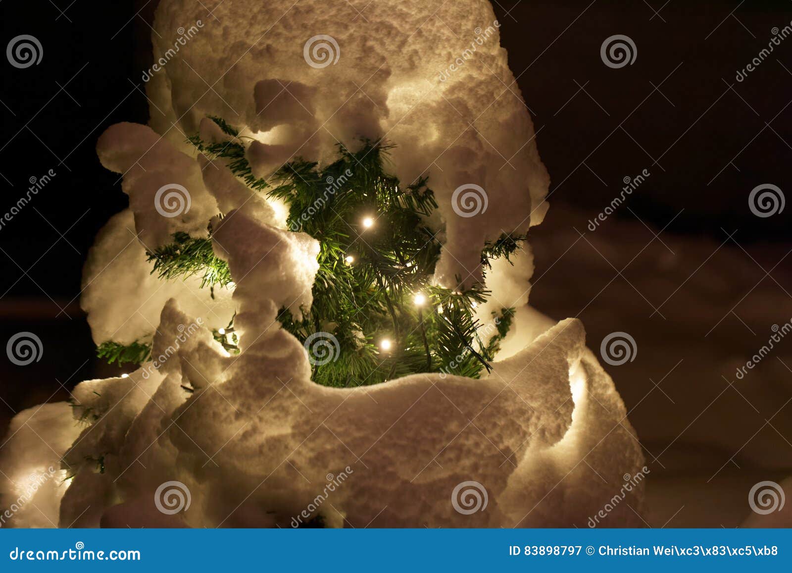 Christmas Tree Under a Snow Cover Stock Image Image of frame