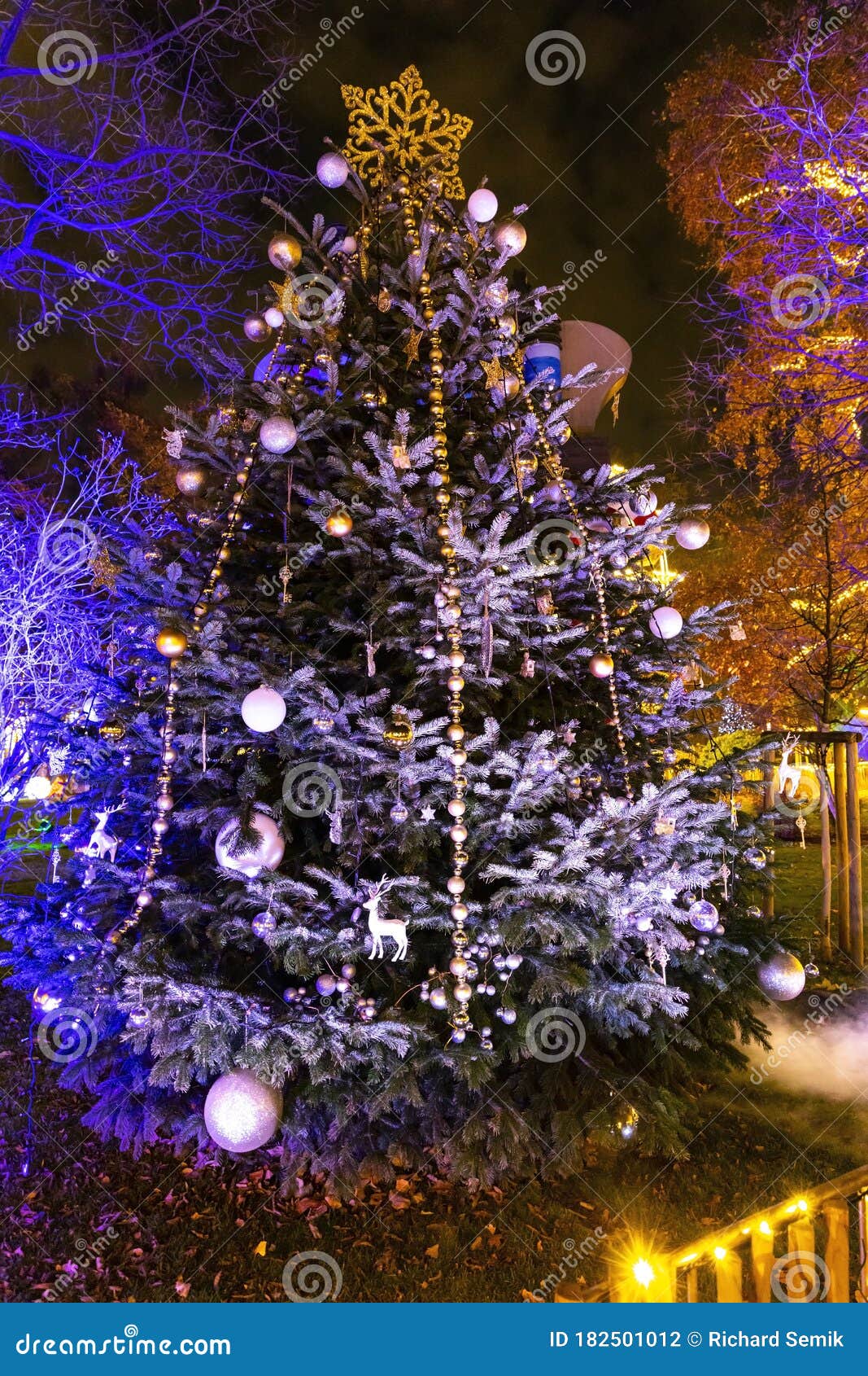 Christmas Tree in Vienna, Austria Stock Photo Image of landmark