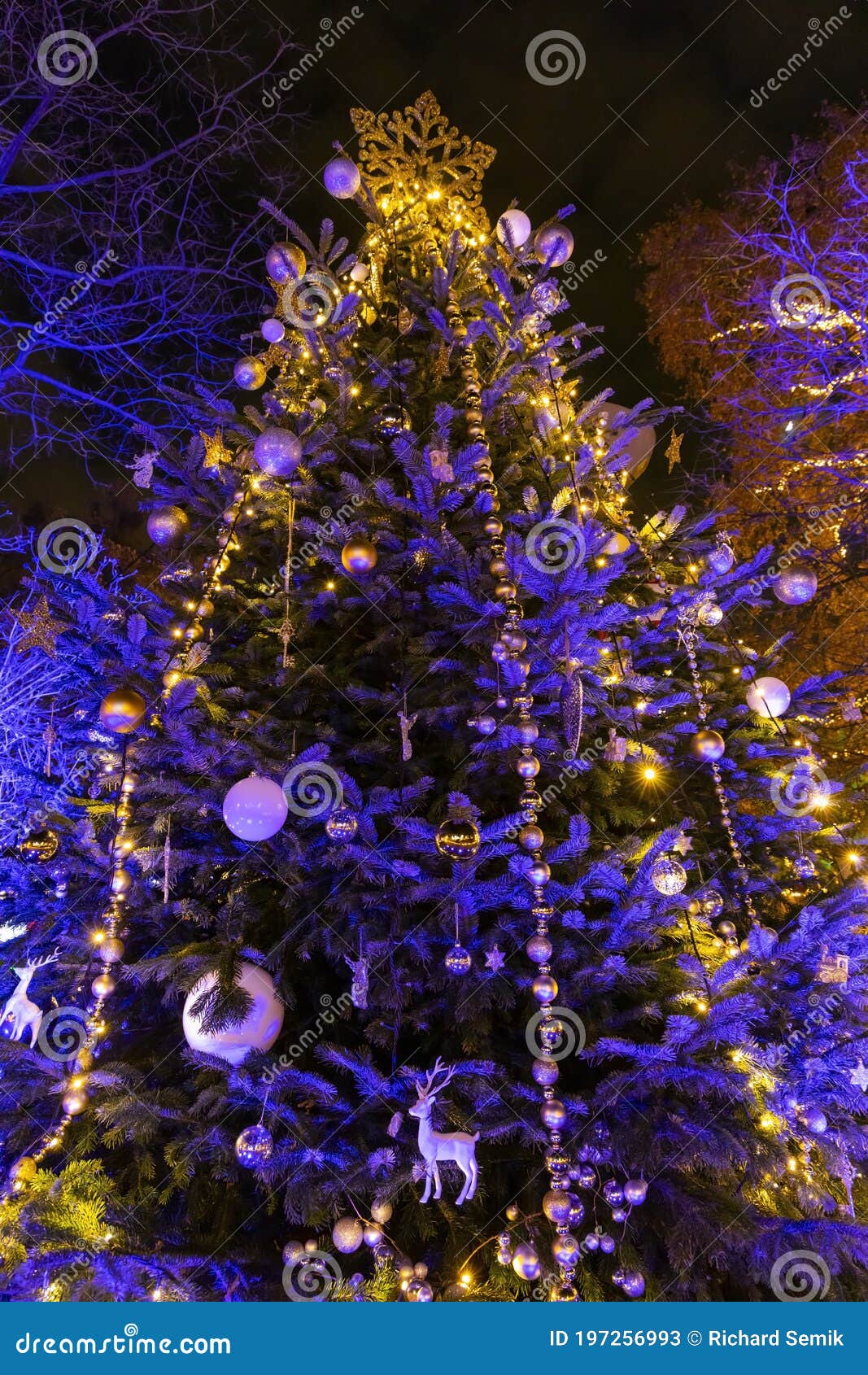 Christmas Tree in Vienna, Austria Stock Image Image of advent