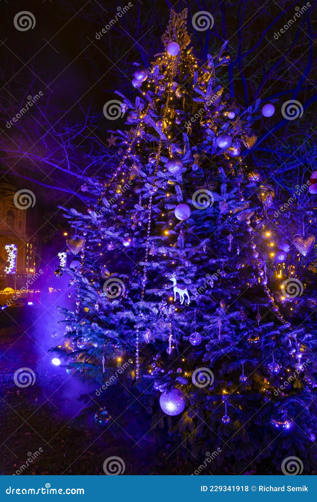 Christmas Tree in Vienna, Austria Stock Photo Image of night, tourism