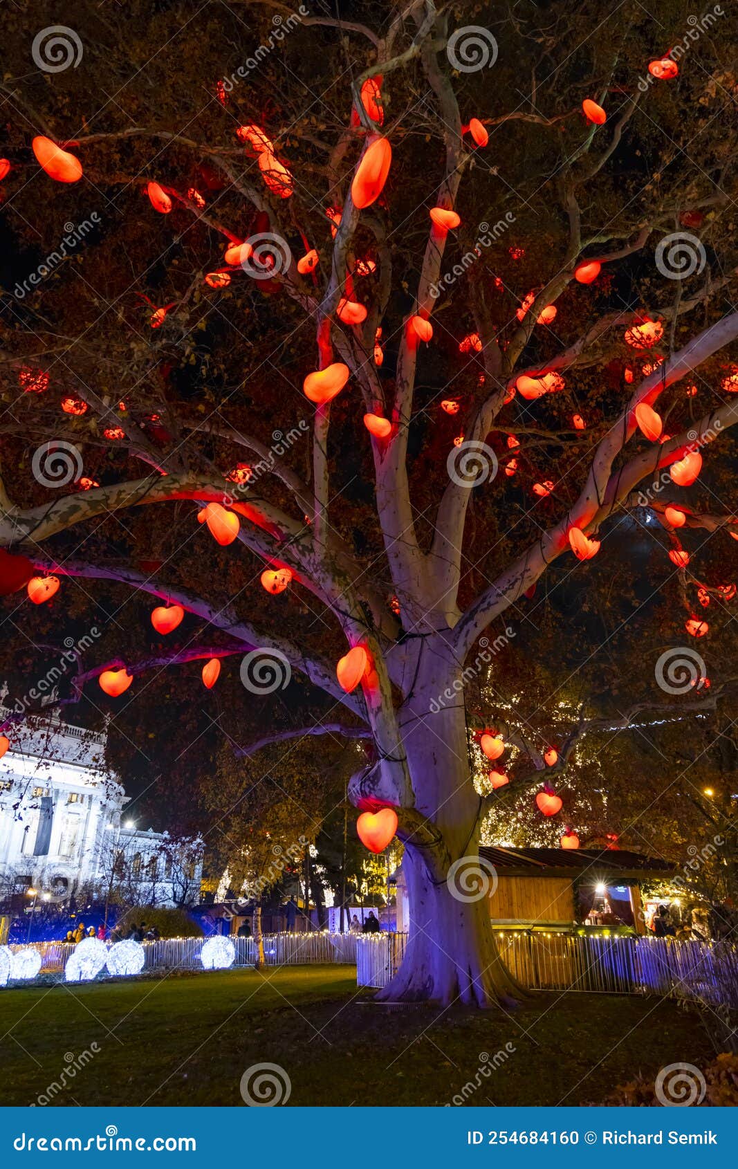 Christmas Tree in Vienna, Austria Stock Photo Image of landmark, wien