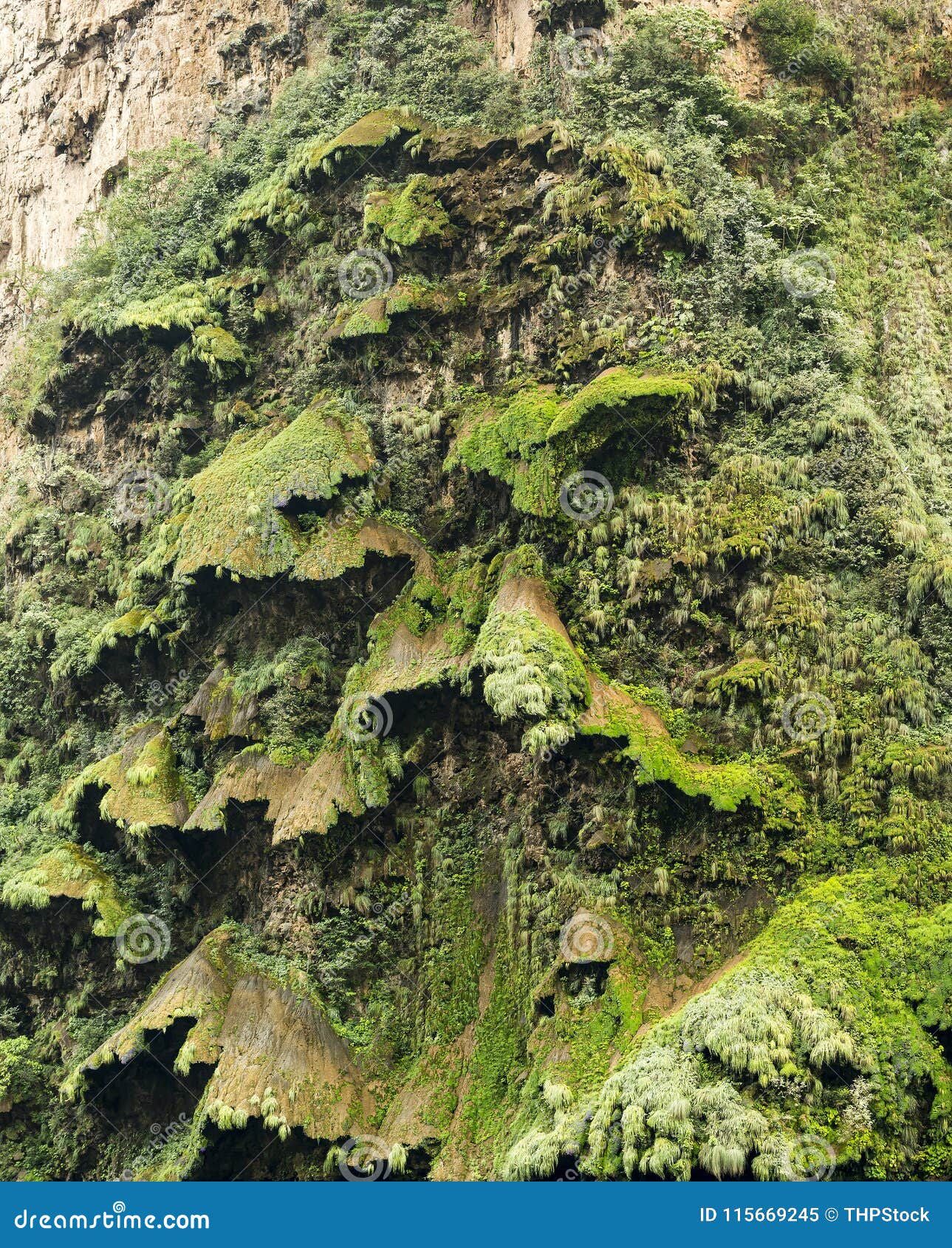 christmas tree waterfall in the sumidero canyon