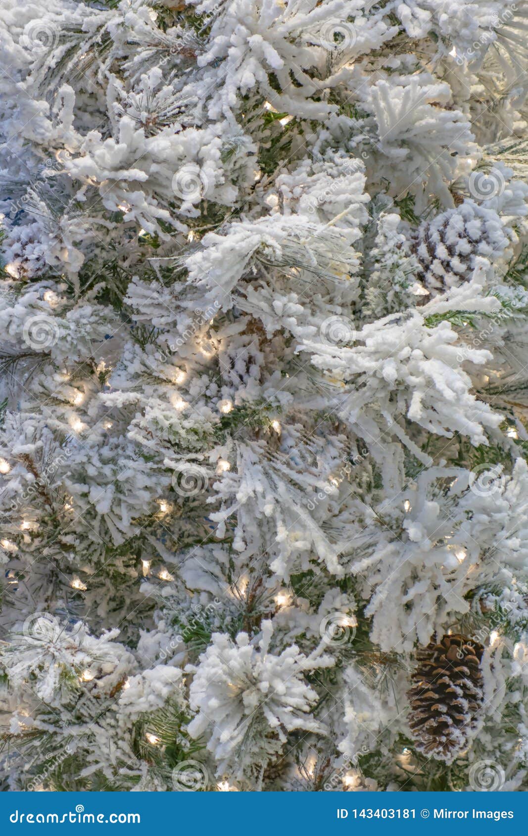 Christmas Tree with White Artificial Snow Covering Stock Image Image