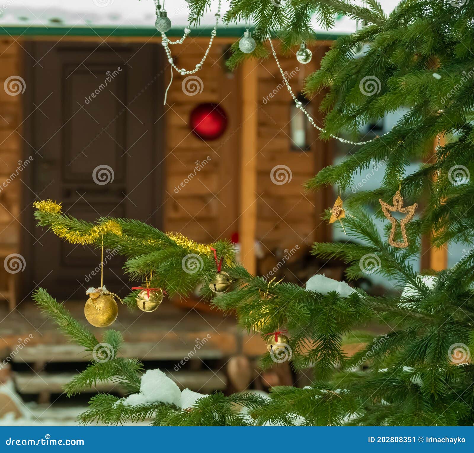 Christmas Tree in the Yard of a Wooden House Stock Image Image of