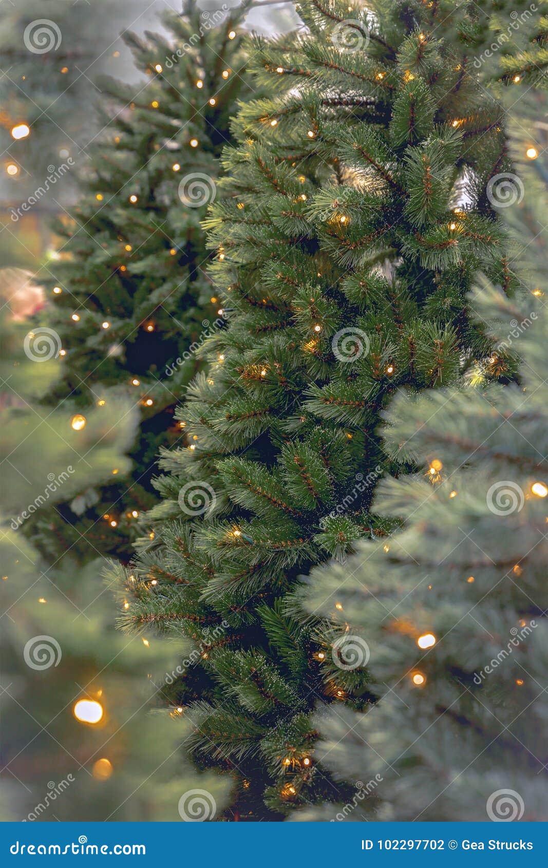 Christmas Tree with Yellow Lights Stock Photo Image of yellow