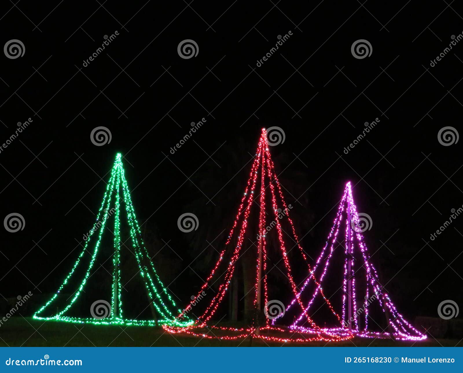 christmas trees illuminated with colored bulbs happiness illusion party