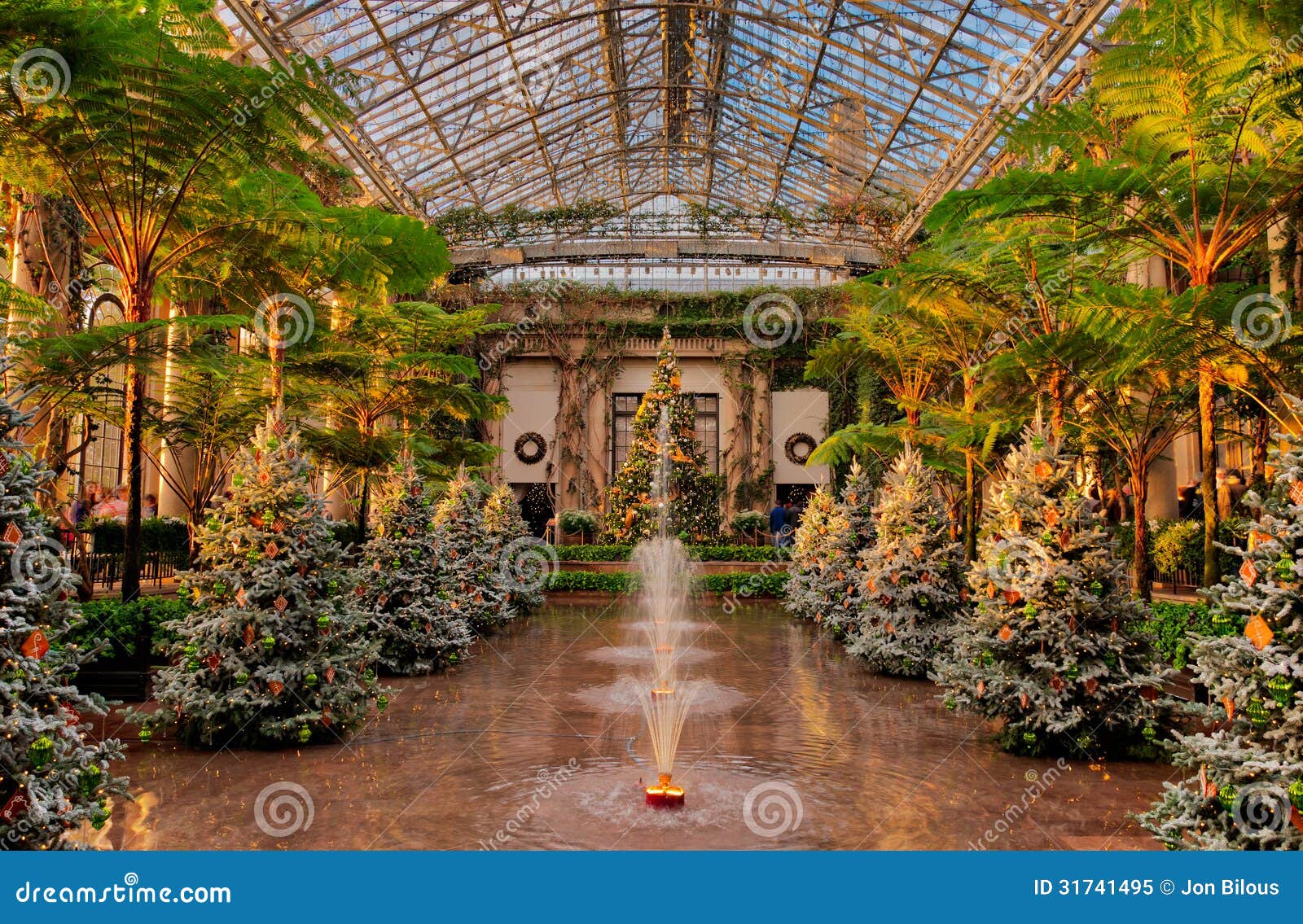 Christmas Trees Inside The Conservatory At Longwood Gardens Pen