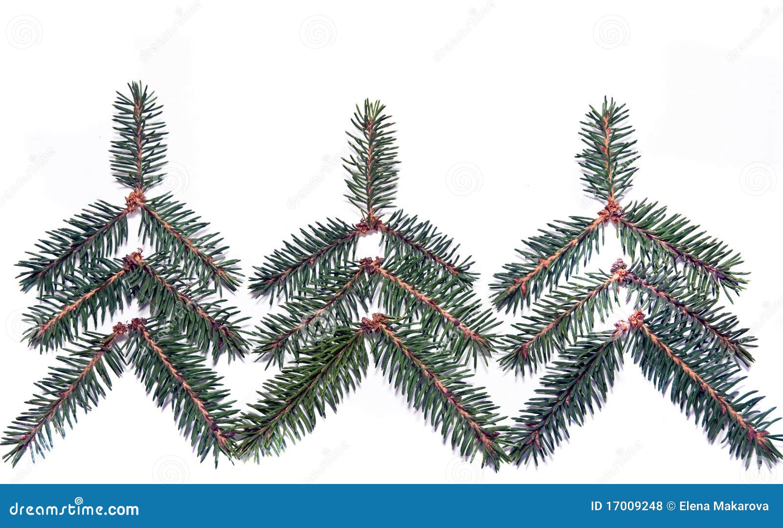 Christmas Trees from Spruce Twigs Stock Photo Image of holiday