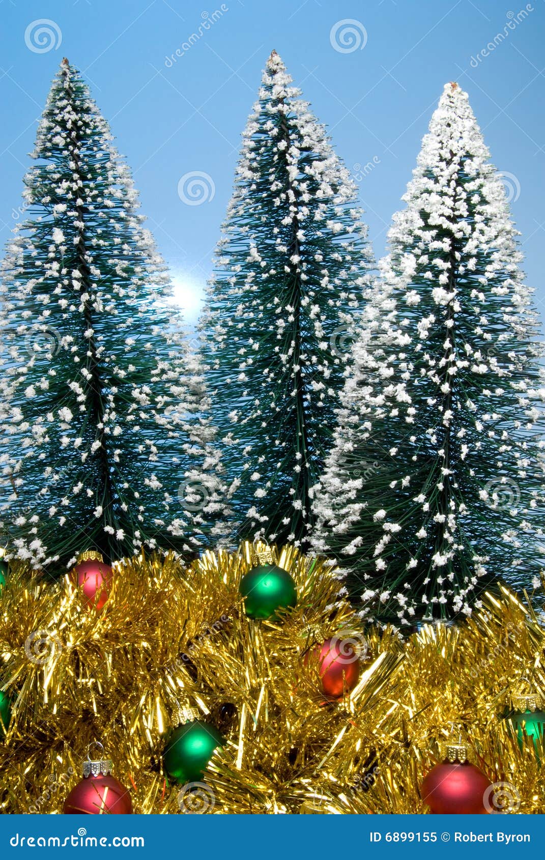 Christmas trees and tinsel stock image. Image of covered 6899155