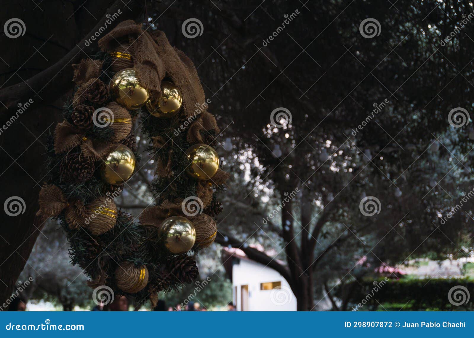 christmas wreath hanging from trees