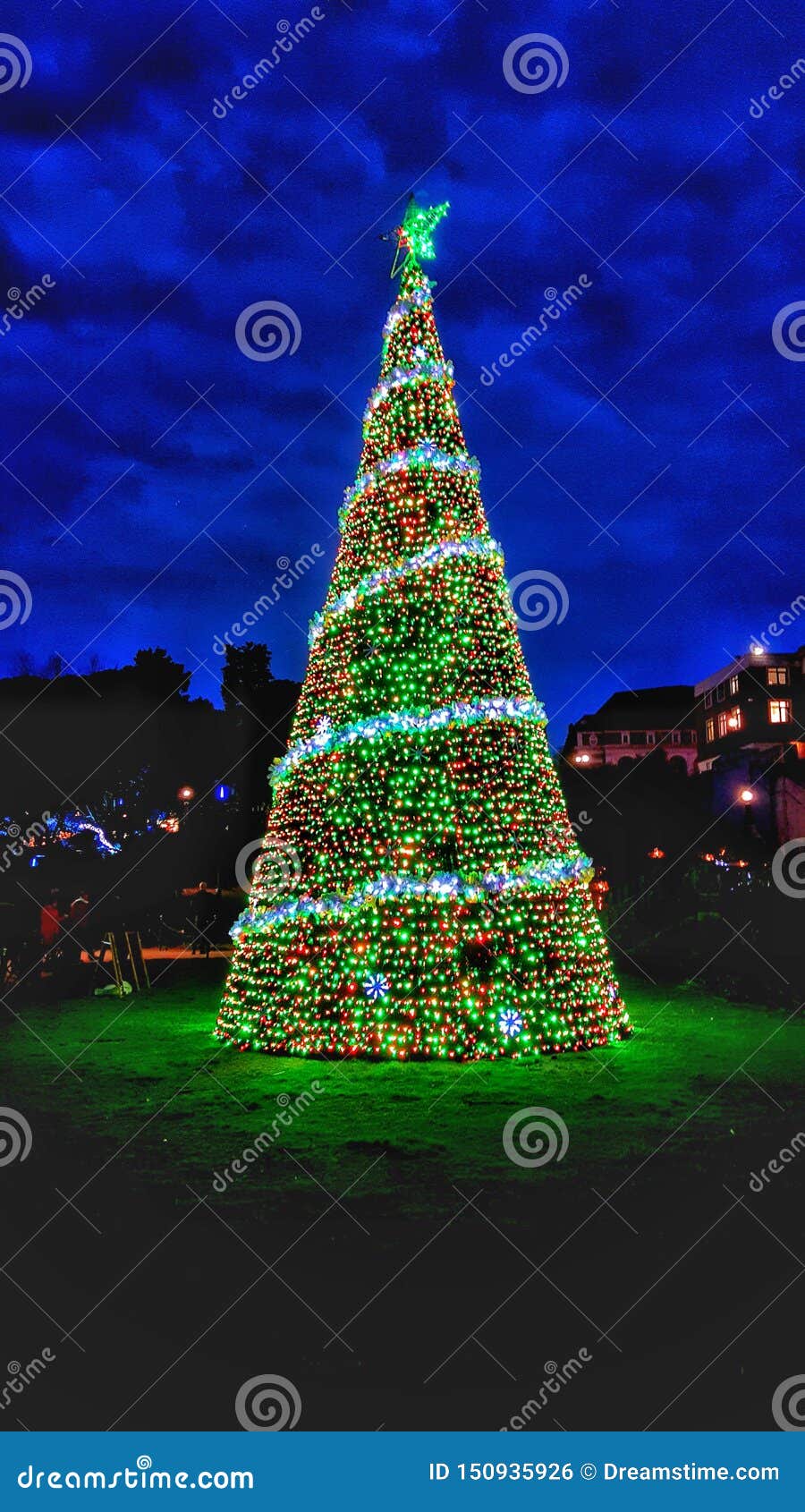 Christmass Tree at Bournemouth Gardens Stock Photo Image of christmass, bournemouth 150935926