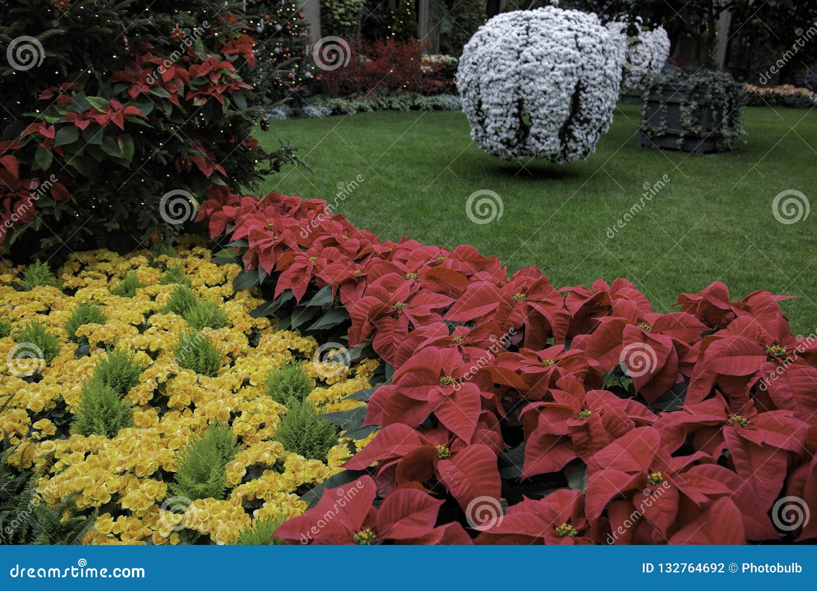 Christmastime At Longwood Gardens Stock Photo Image Of Holiday