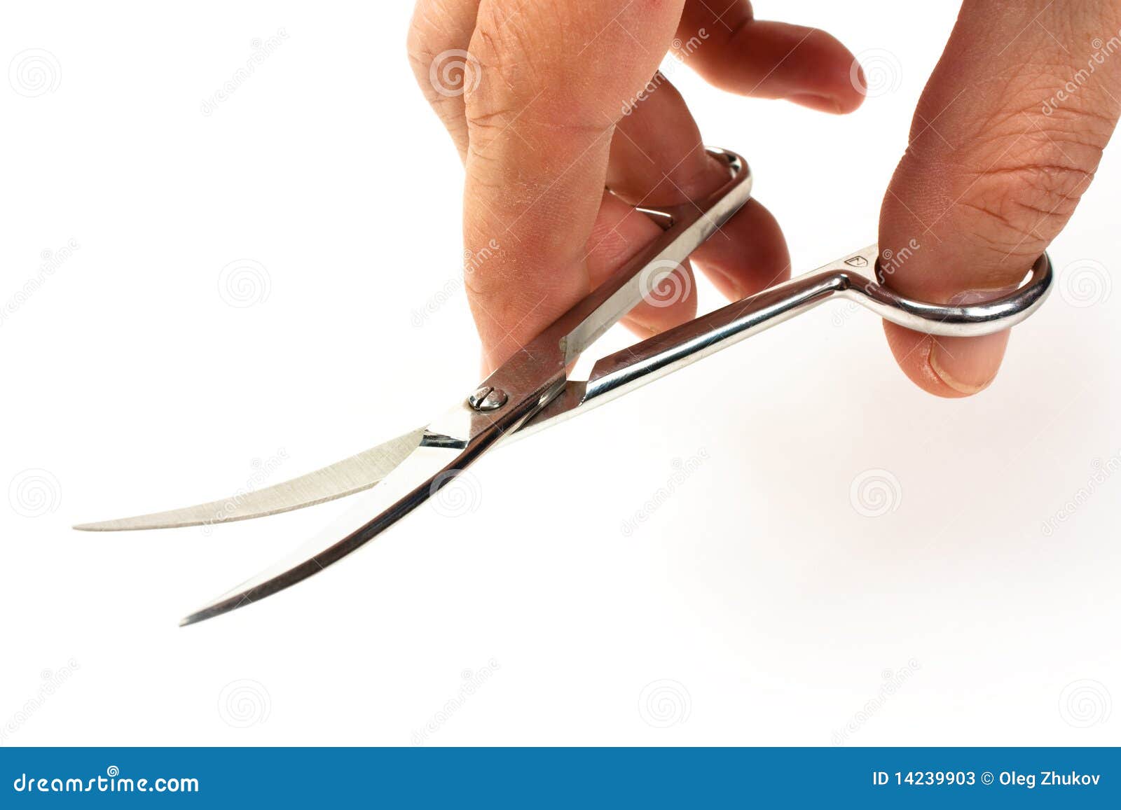 Chrome Scissors Isolated on White Background Stock Image Image of