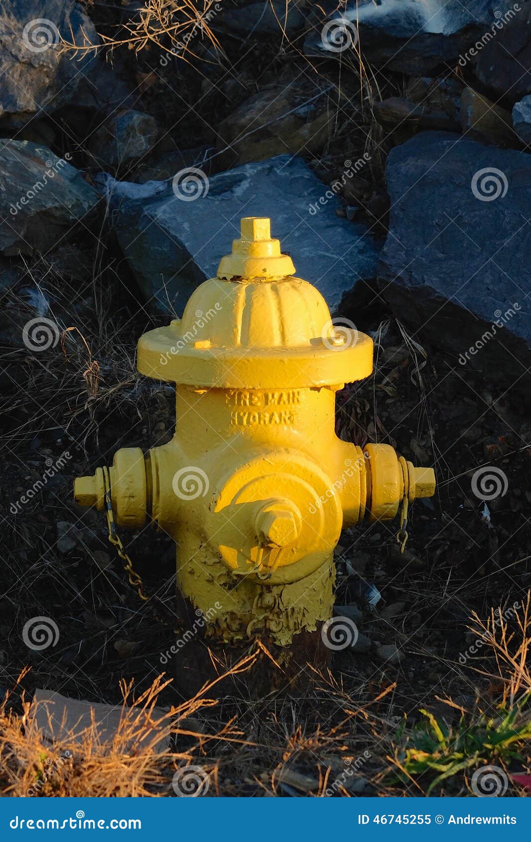 Chrome Yellow Fire Hydrant stock image. Image of water 46745255