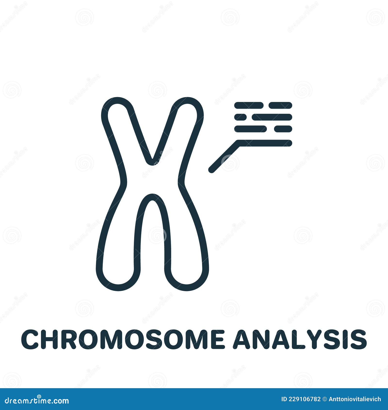chromosome analysis line icon. x and y chromosome research linear pictogram. biology test of xy chromosome outline icon