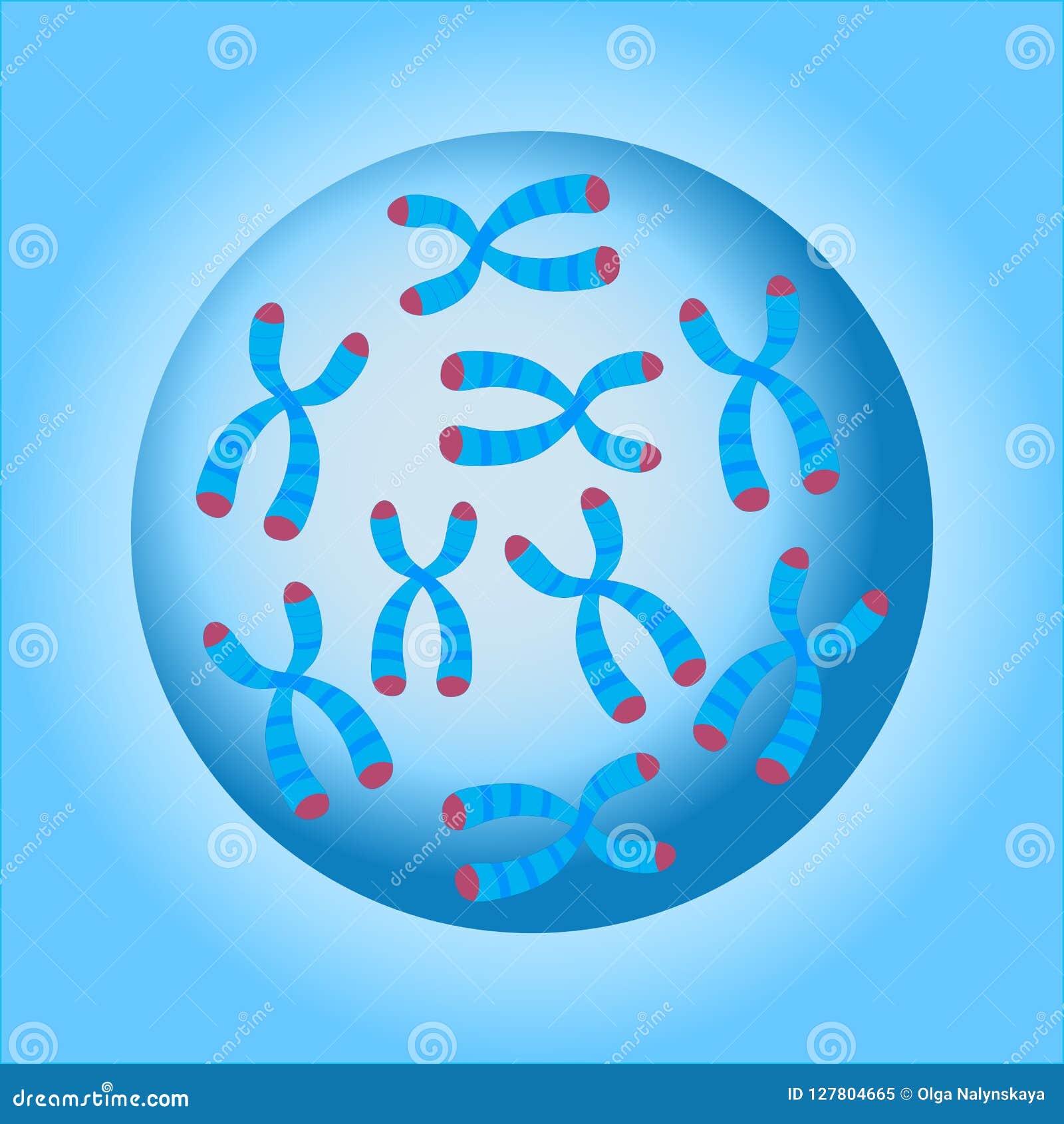 My Image 4