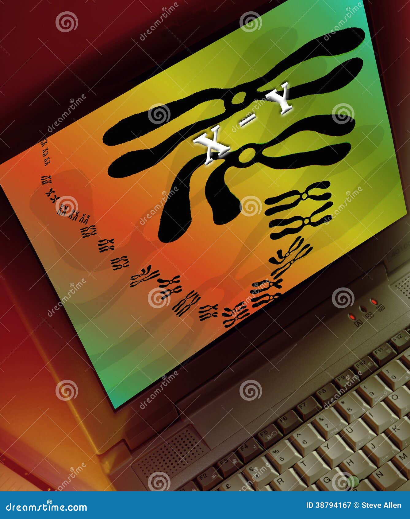 chromosomes on a computer screen