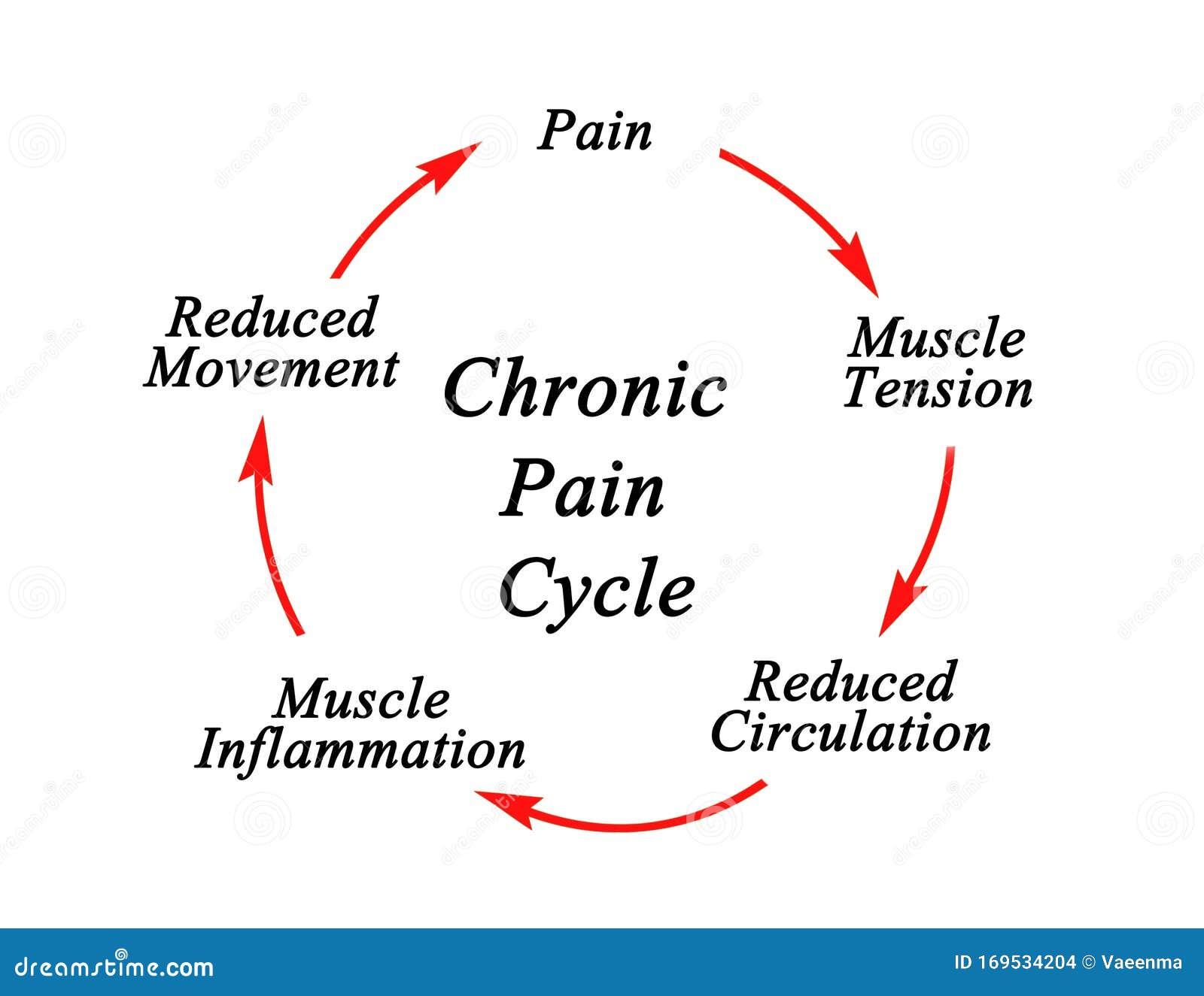 Chronic Cycle Chart