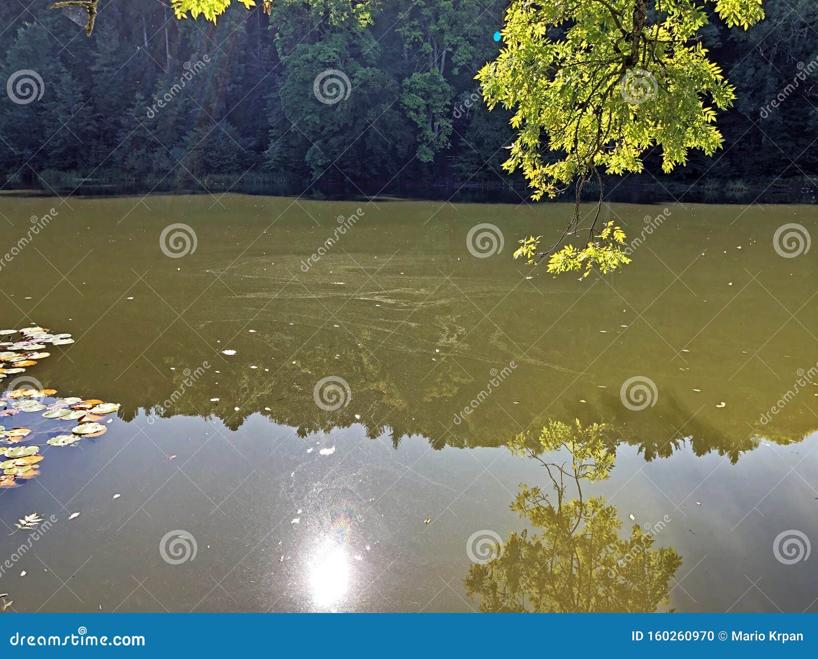 chruzweier or chruzweiher pond three ponds recreation area or das naherholungsgebiet drei weihern