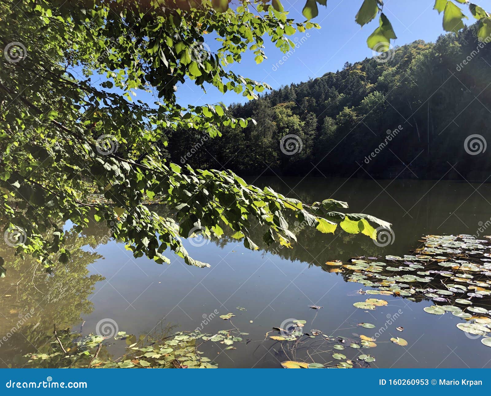 chruzweier or chruzweiher pond three ponds recreation area or das naherholungsgebiet drei weihern