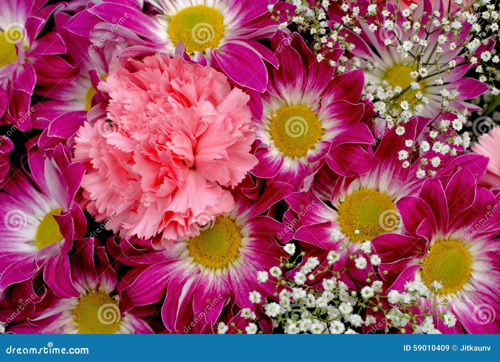 Chrysanthemum and Carnation Flowers. Stock Image Image of violet