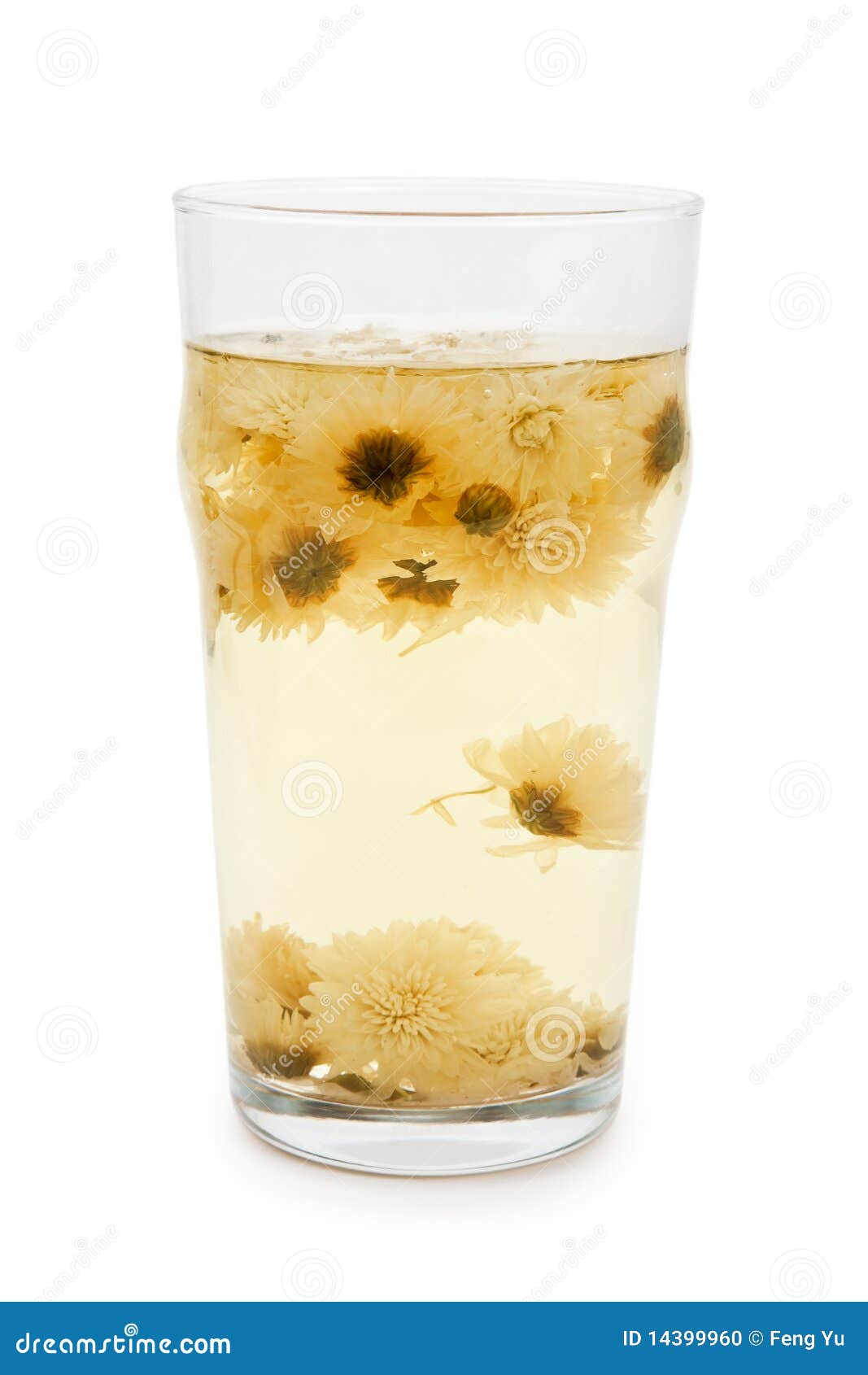 Chrysanthemum Flower tea stock photo. Image of chinese 14399960