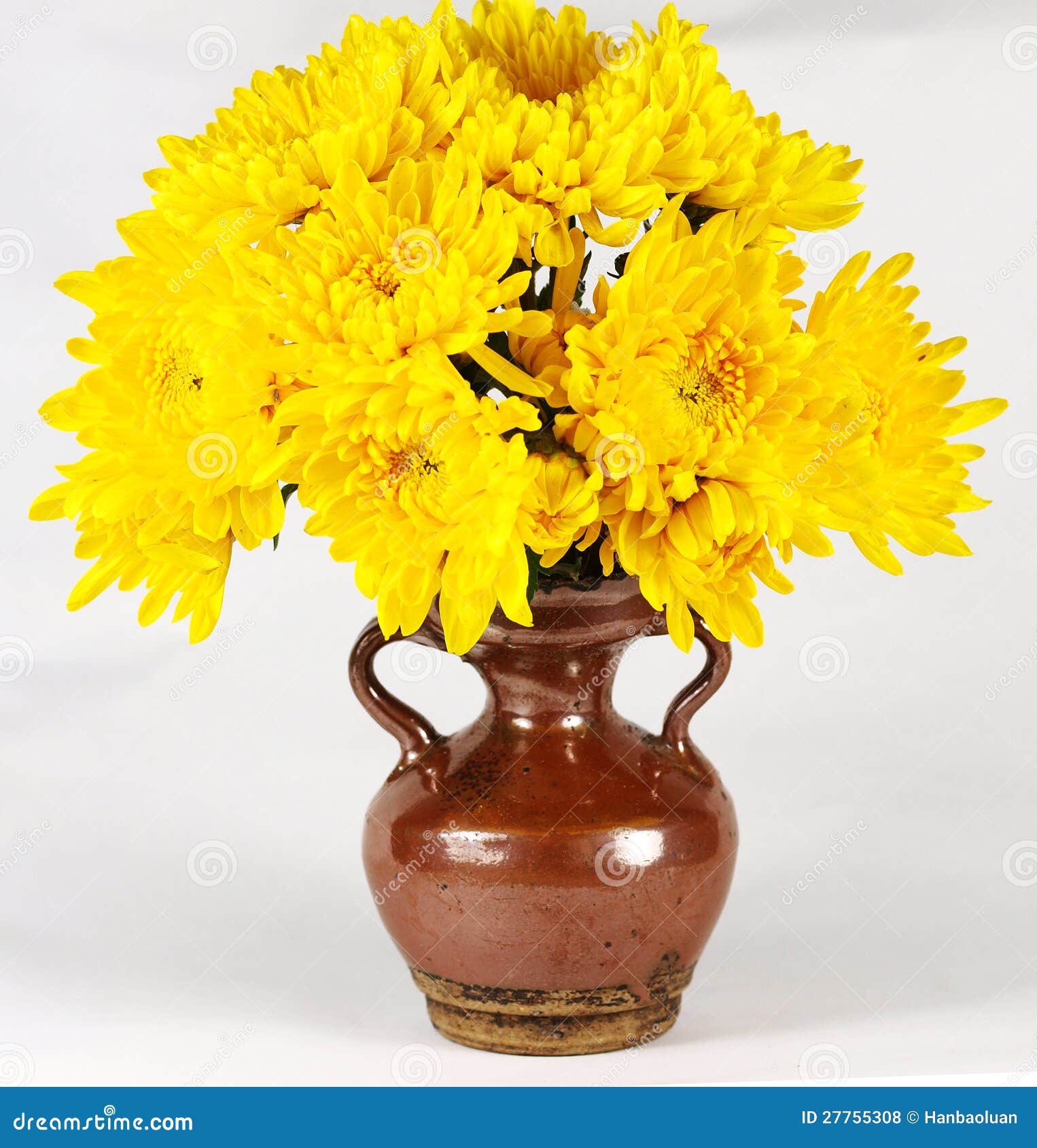 Chrysanthemum flower vase stock photo. Image of backgrounds 27755308