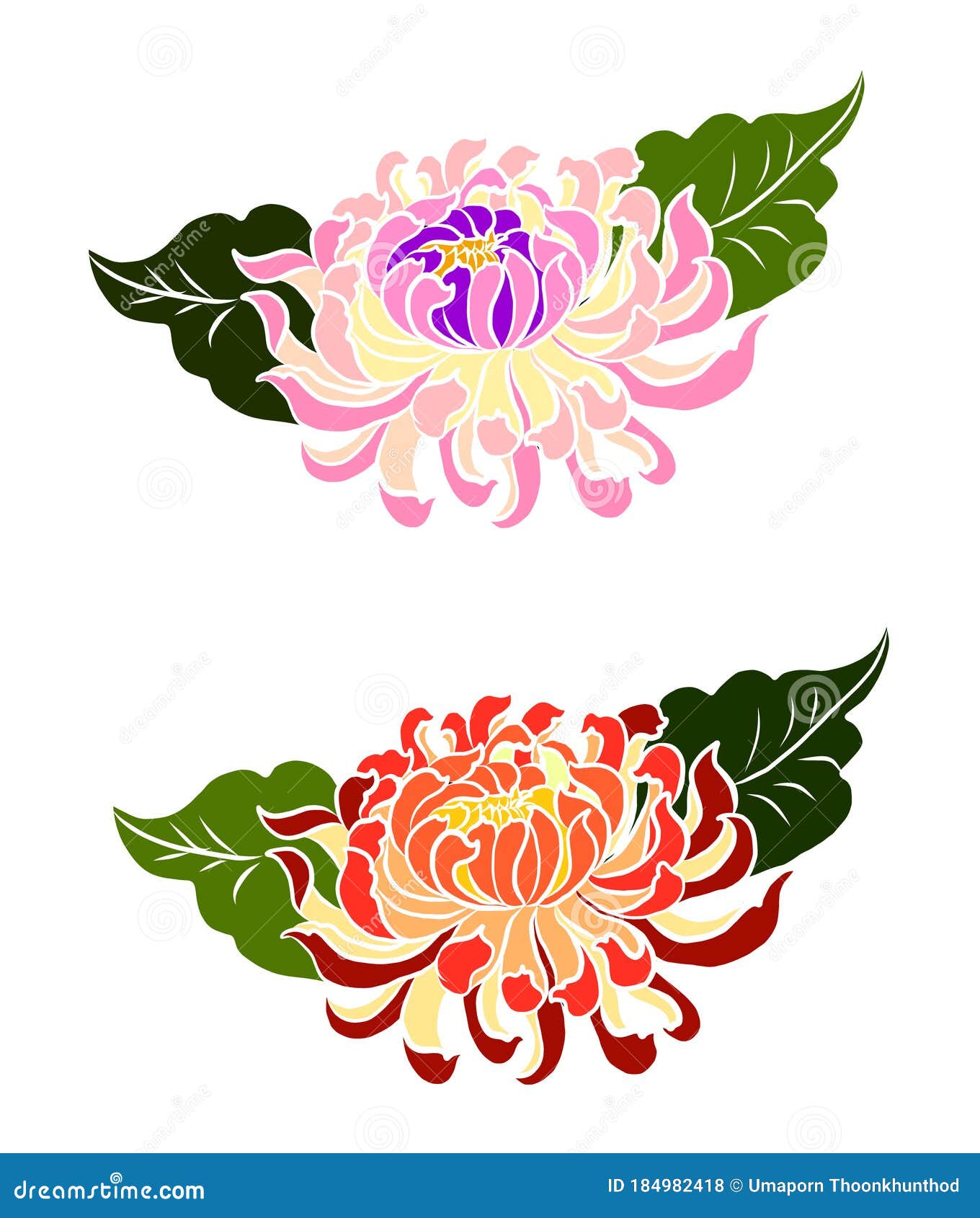 Chrysanthemum Flower Vector for Tattoo Design. Stock Vector ...