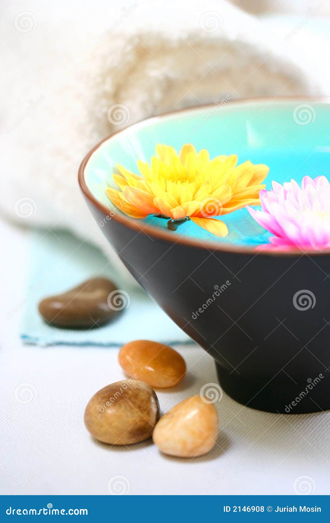 Chrysanthemum Pebble and Spa Stock Photo Image of indulge, massage