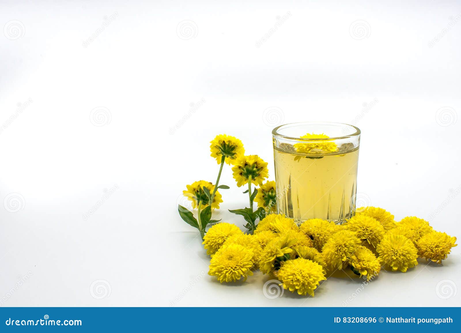 chrysanthemum tea