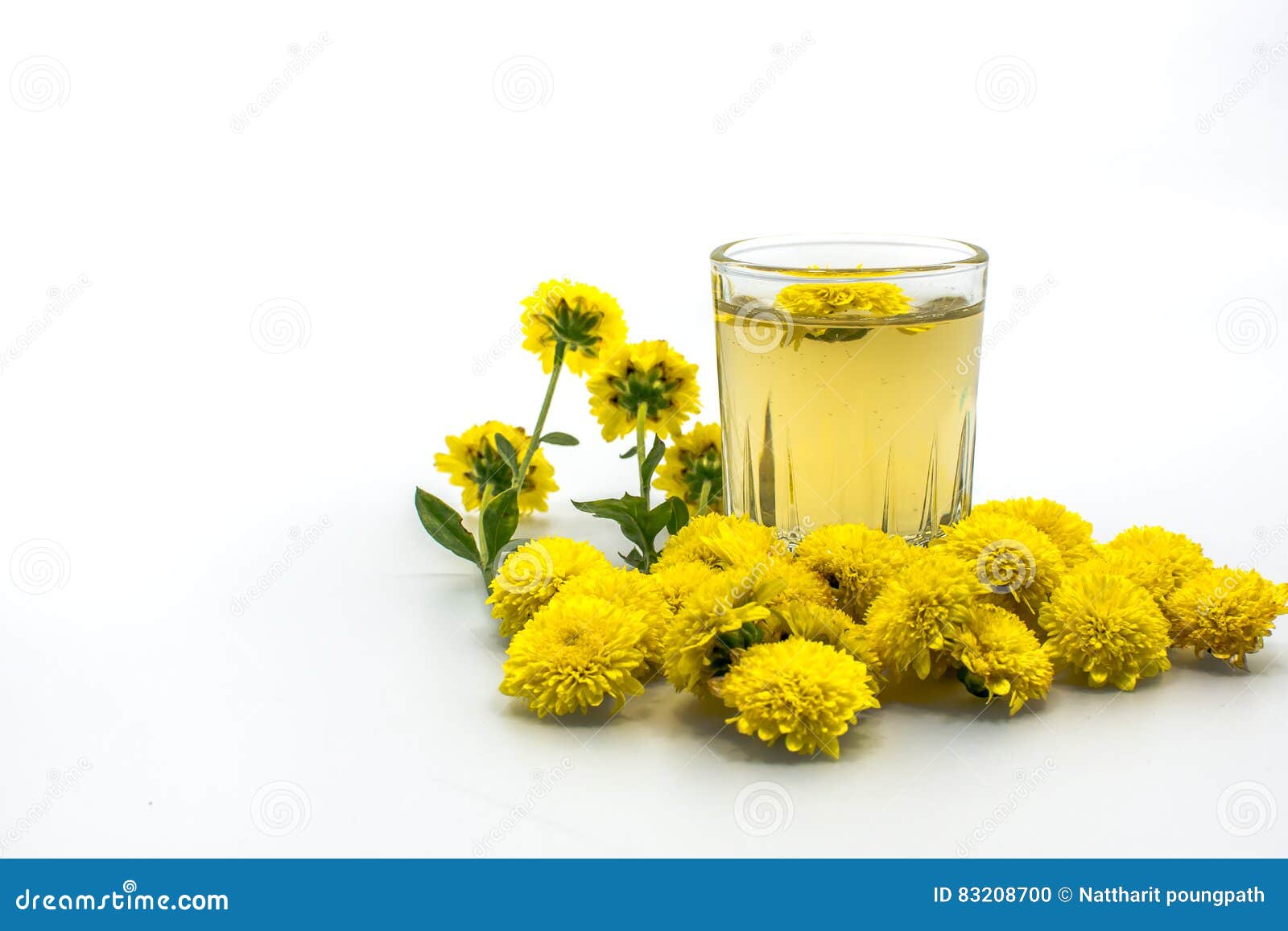 Chrysanthemum Tea stock photo. Image of cucumbers, cucumber 83208700