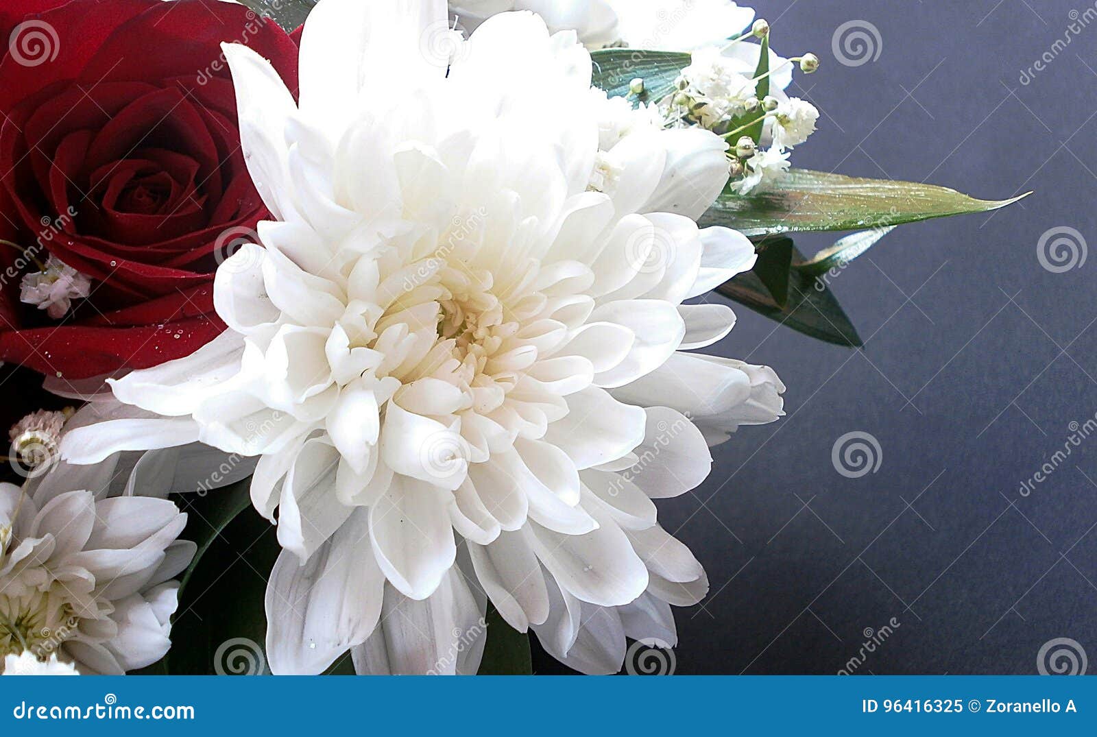 Chrysanthemums and roses stock image. Image of frolic 96416325