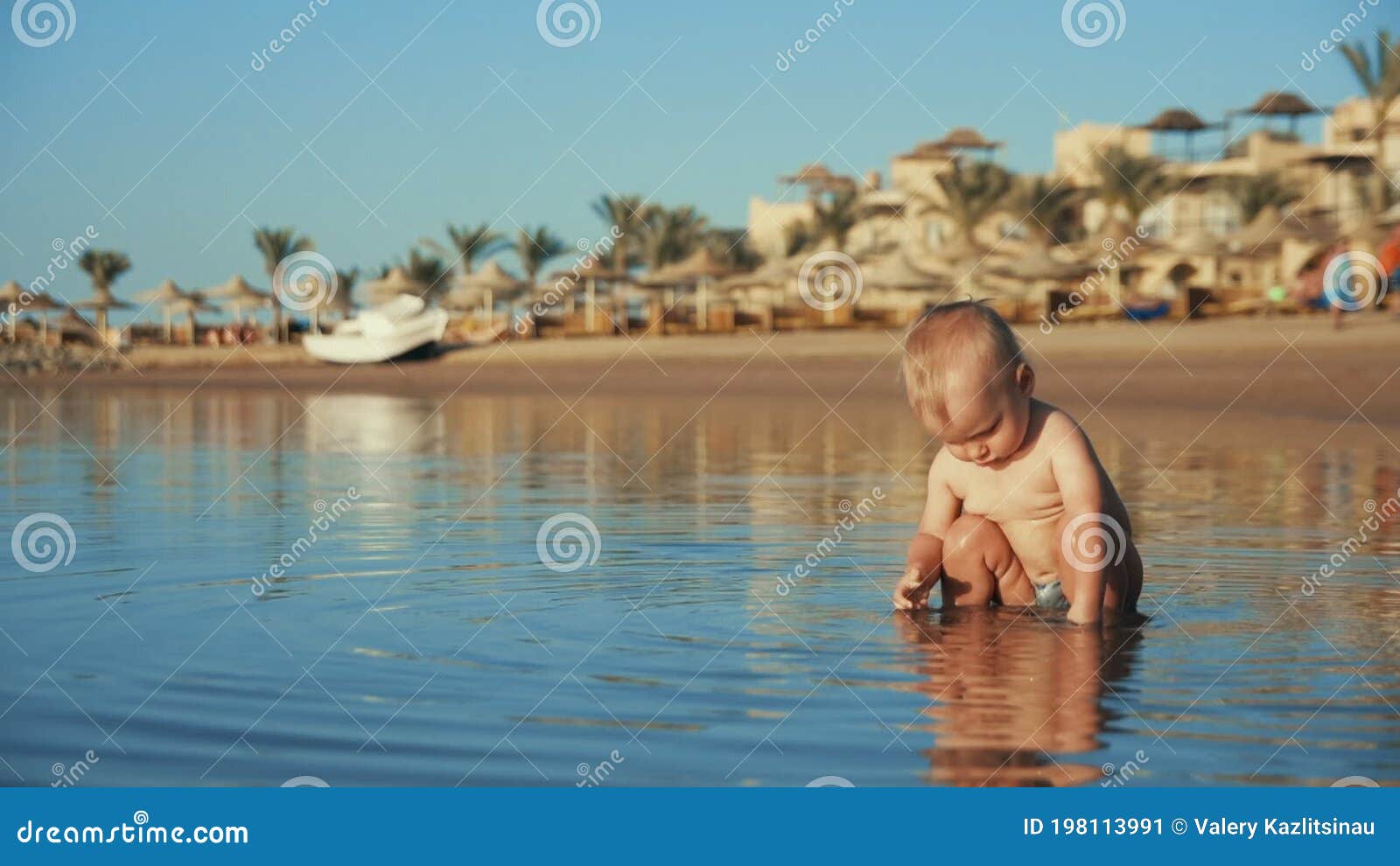 plump beach playing with a toy