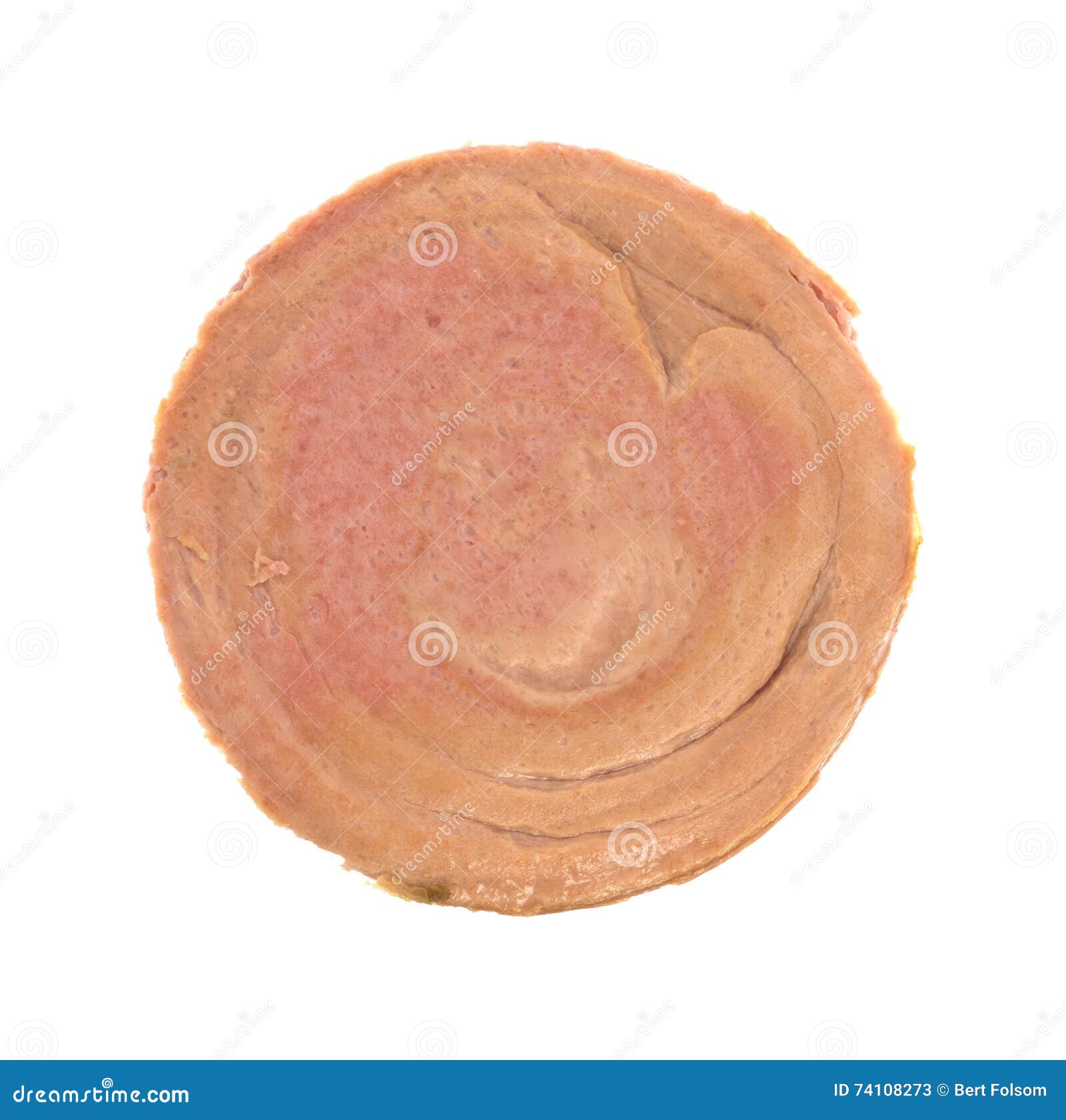 Chunk of Canned Chicken Bologna Top View Stock Image Image of salty