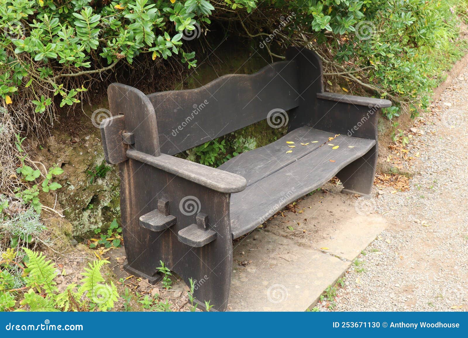 A Chunky Slotted Wooden Park Bench in Front of a Bed of Mixed Shrubs