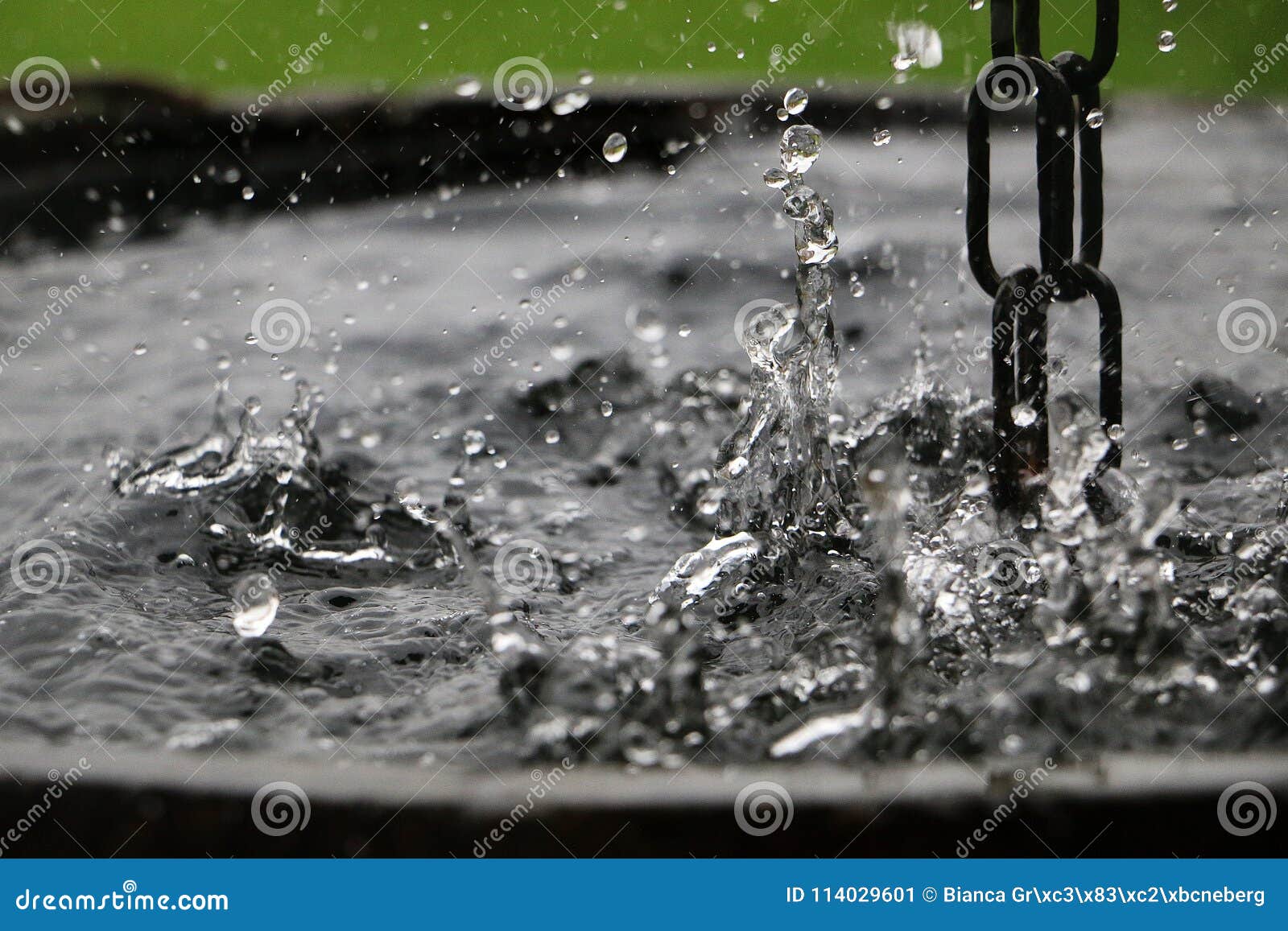 A Chuva Esta Caindo Na Agua Imagem De Stock Imagem De Chuva Caindo 114029601