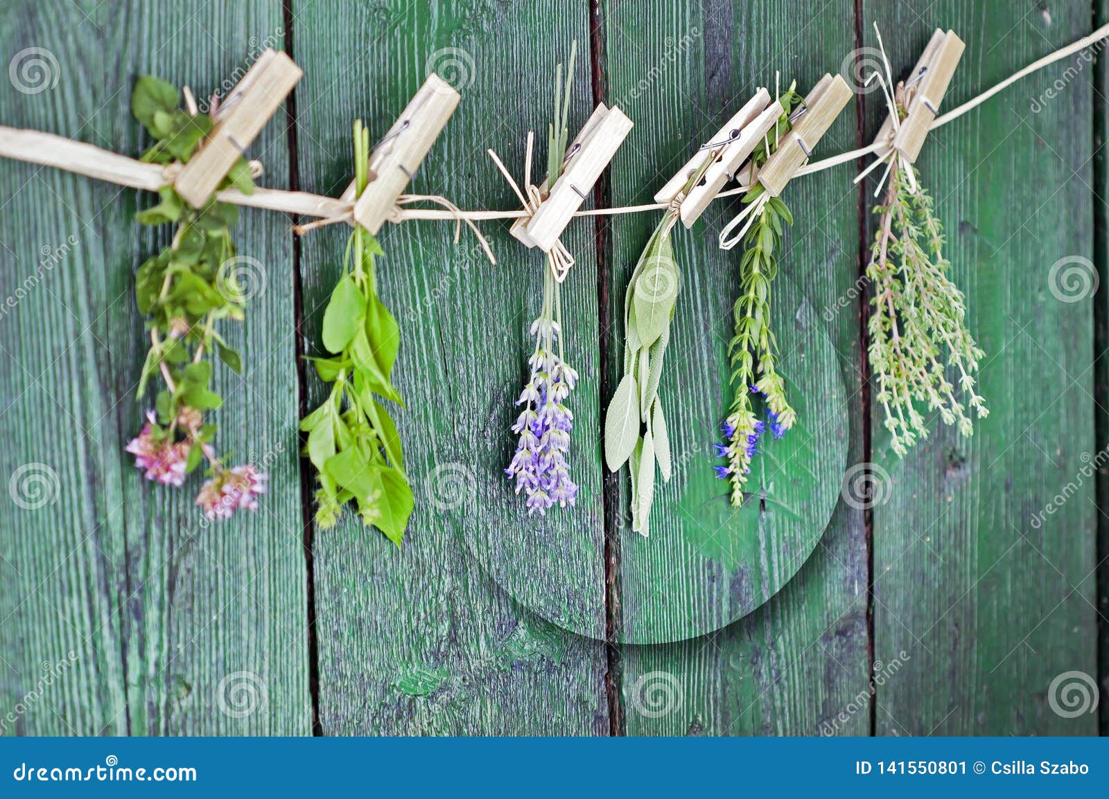 Paquetes De Lavanda Seca Natural Manojo De Lavanda Reci