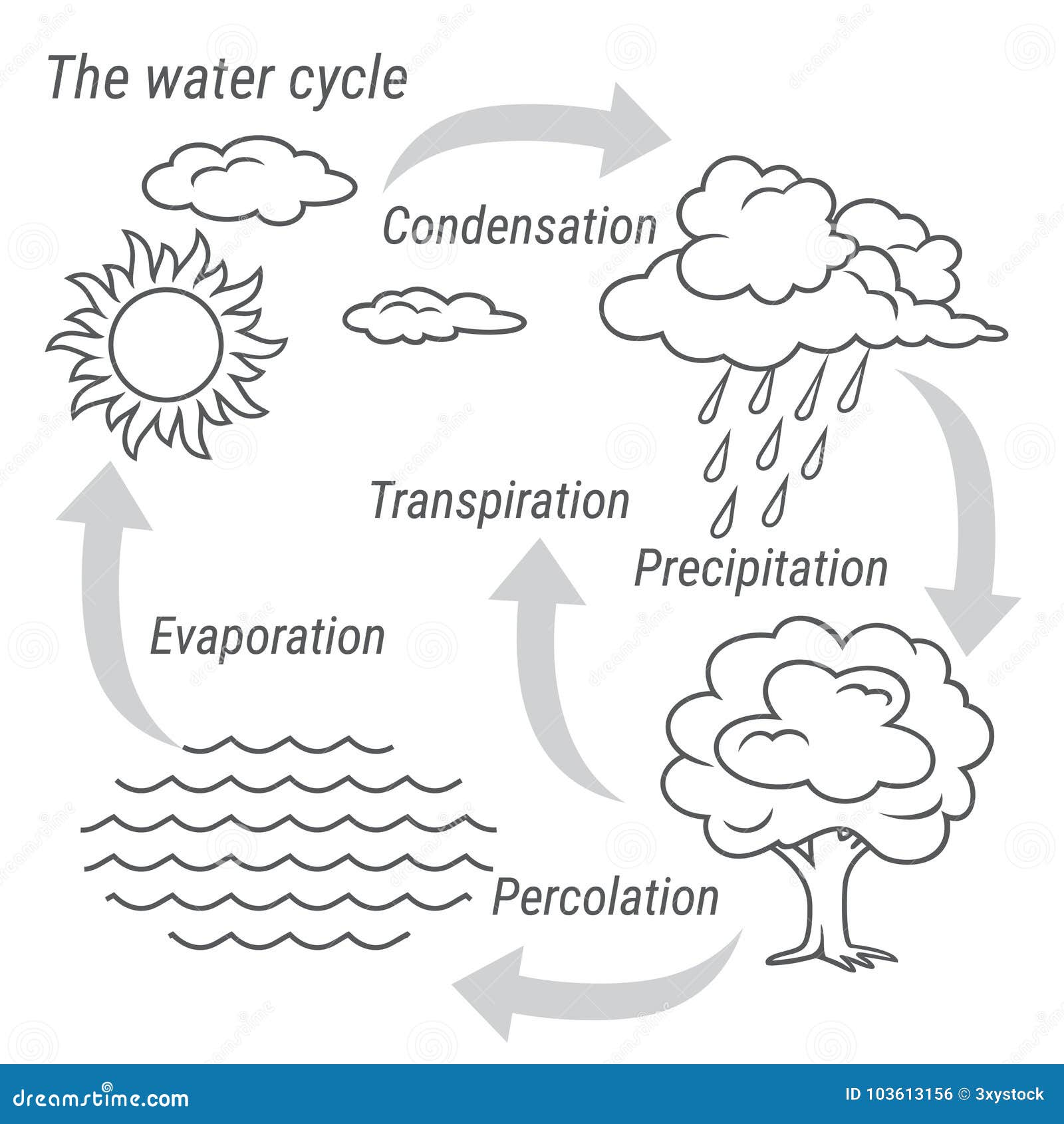 Ciclo Del Agua Blanco Y Negro Ilustración del Vector - Ilustración de  colina, fondo: 103613156